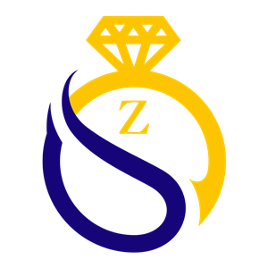 لوگوی زینی پوش